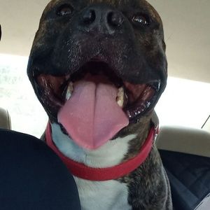 Meet your Posher, Jesse